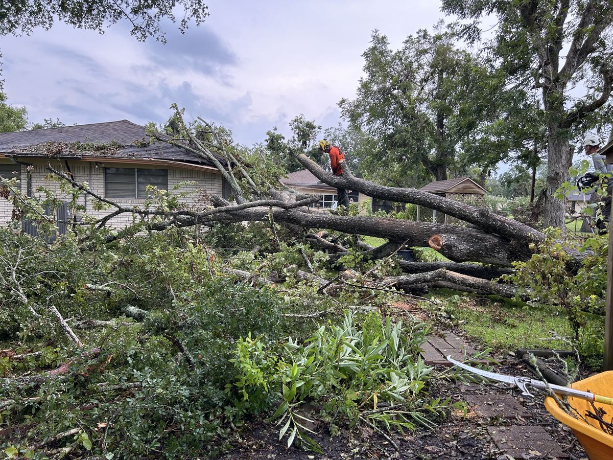Broken Branch SA crew member in safety gear cutting a storm-damaged tree off a house