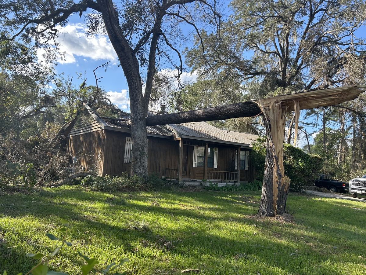 Large tree fallen directly onto the roof of a San Antonio home requiring emergency removal
